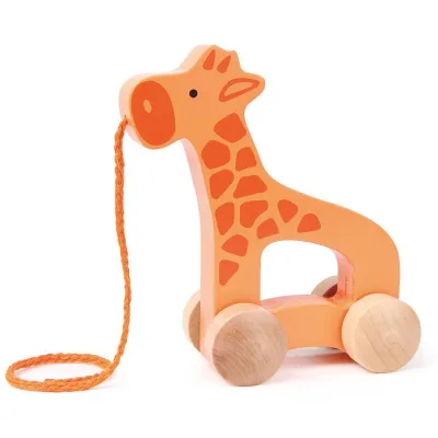 Girafa plimbareata